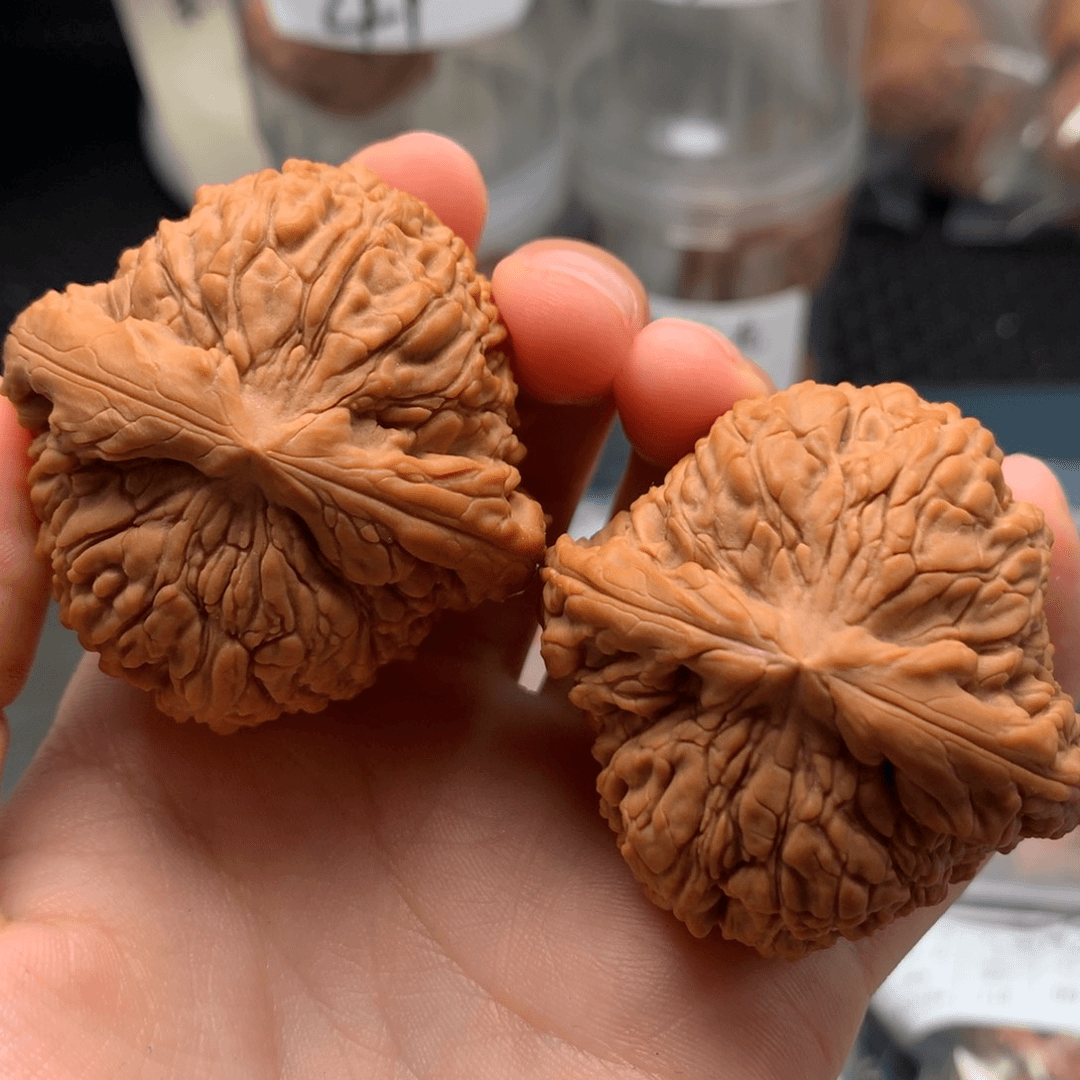 【闪购商品】文玩核桃吊坠  45-457-2