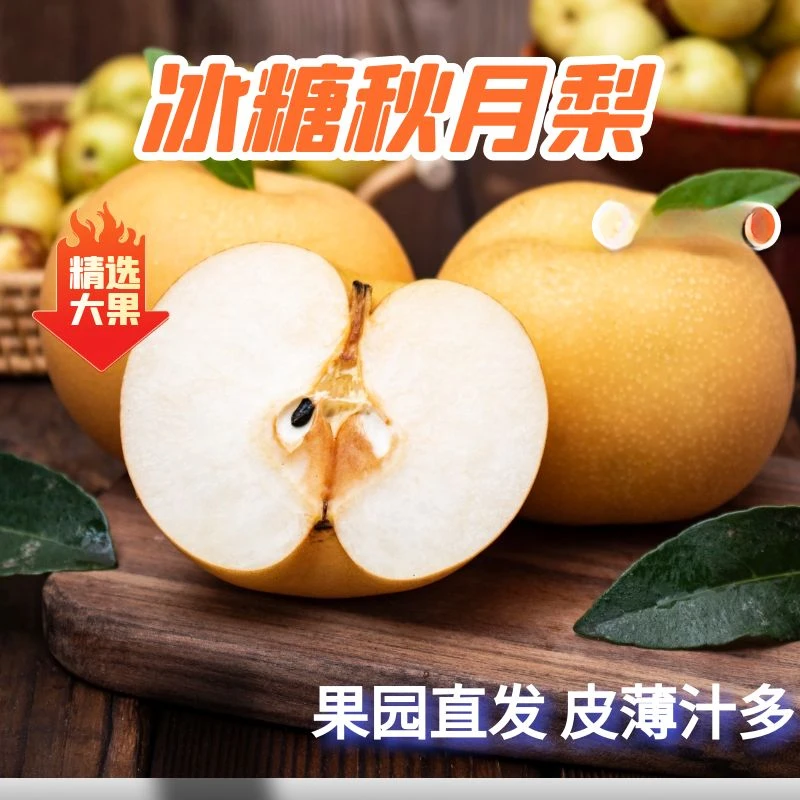 【请先阅读详情页道歉公告】正宗山东特产秋月梨脆甜可口（果园直发）