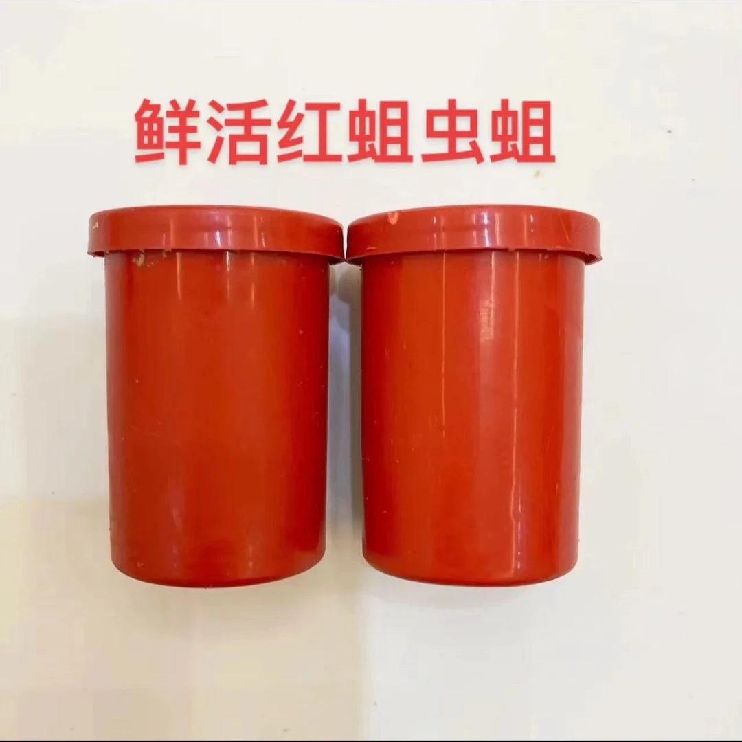 溪钓过往 鲜活红蛆活饵溪哥马口溪石斑鲫鱼腥味活饵【小个体】