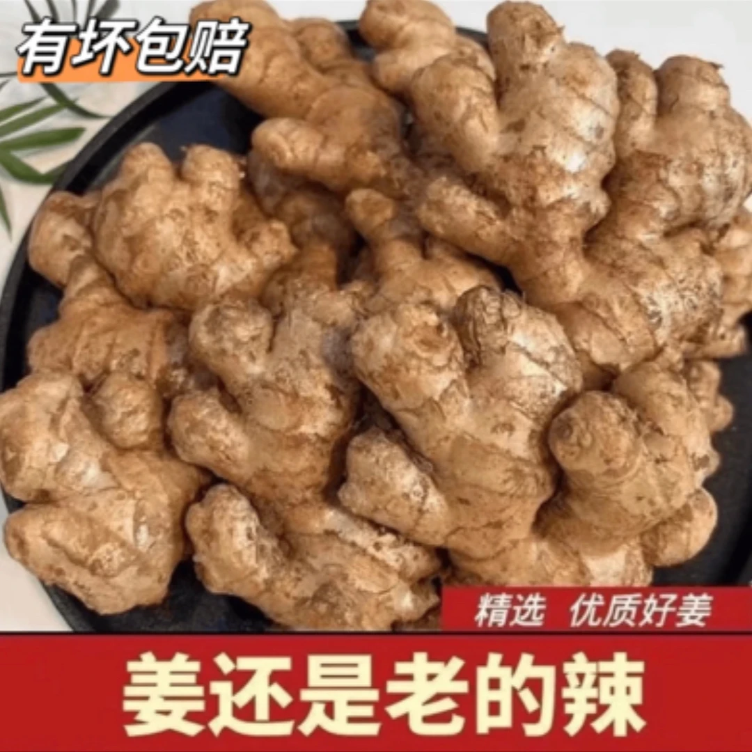 [出口级品质]云南姜小黄姜现挖自己家种植新鲜净重生姜鲜姜包邮