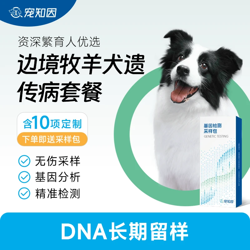 犬｜宠知因边境牧羊犬遗传病套餐 疾病检测 宠物狗狗基因检测