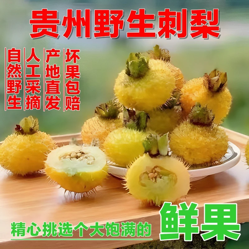 2025贵州头茬刺梨刺梨果应季水果泡酒煮粥煲汤野生刺梨现摘现发