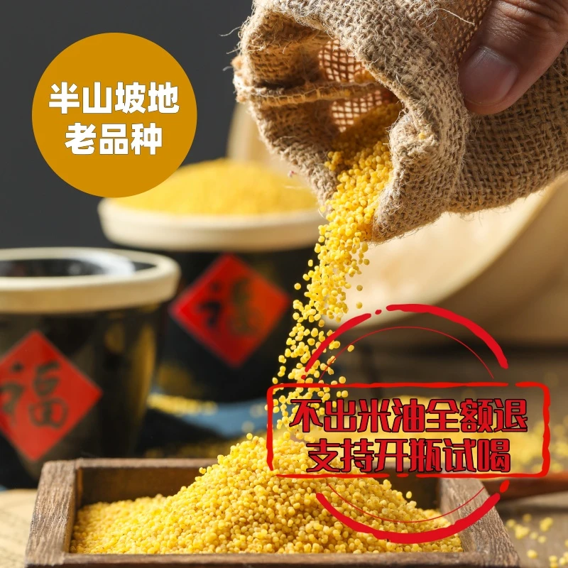 【25年新小米】沂蒙山当季精选黄小米农家种植营养早餐粥山地小米