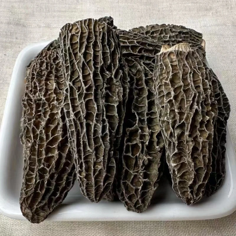 精选干货特色羊肚菌