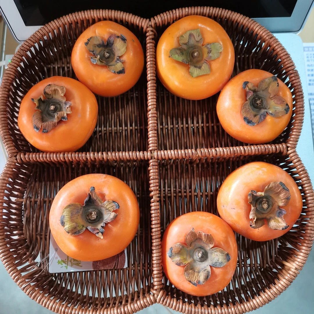 825花藤四叶4分格篮茶几收纳盒客厅家用收纳篮