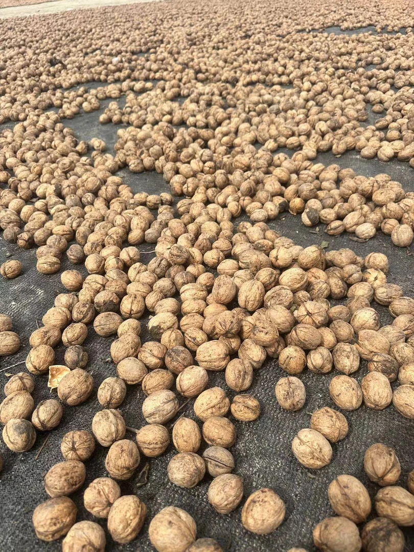 新疆特产和田185纸皮核桃手剥即开不漂白不清洗产地直发