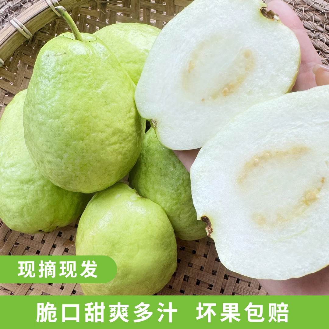 正宗广西芭乐白心芭乐番石榴芭乐3/5/8斤大果新鲜现摘芭乐果整箱
