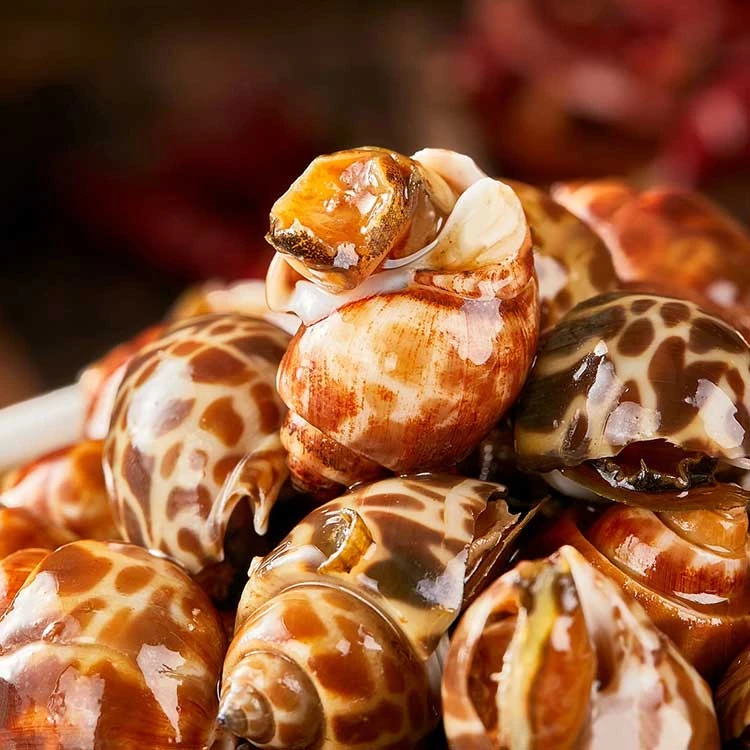 麻辣花螺捞汁小海鲜香辣四袋装开袋即食鲜辣下酒菜麻辣鲜活冷冻