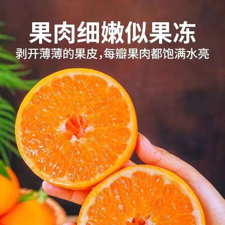 正宗四川春见耙耙柑橘子丑橘眉山橘子现摘2-8斤装水果礼盒