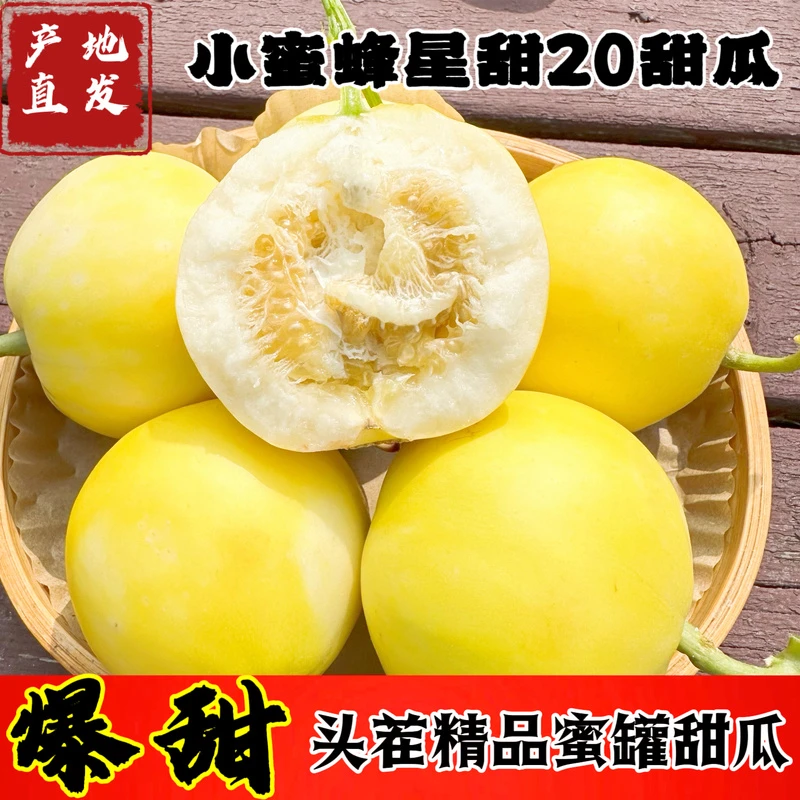 山东沂蒙小蜜蜂甜瓜蜜罐甜瓜星甜20孕妇当季新鲜水果头茬蜜罐甜瓜