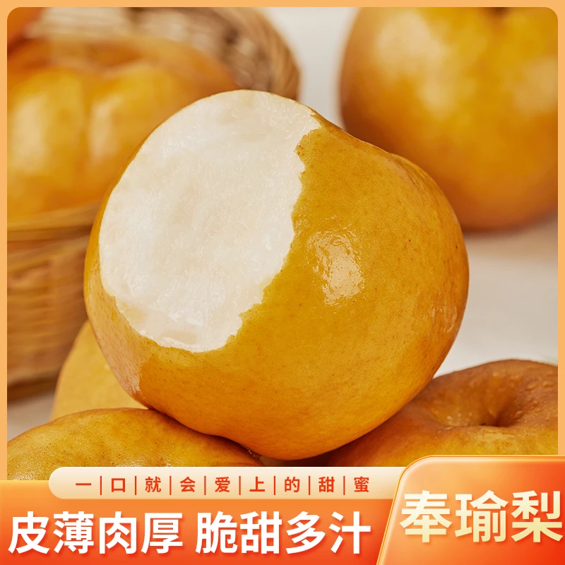 晚熟奉瑜梨 产地直发 大果4个6斤装饱满新品种新品种新鲜香甜汁水