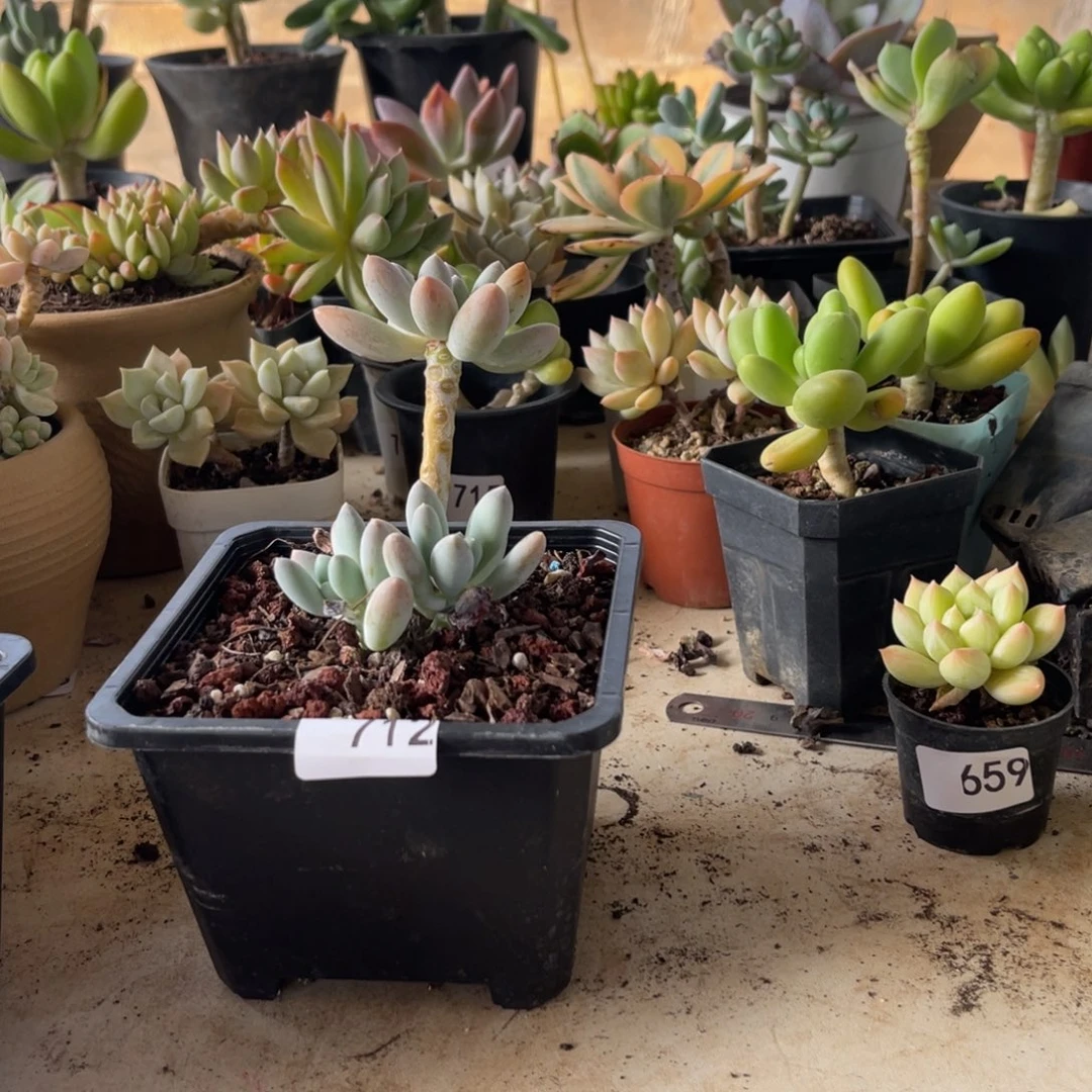 康**712。 芊芊。  111111111