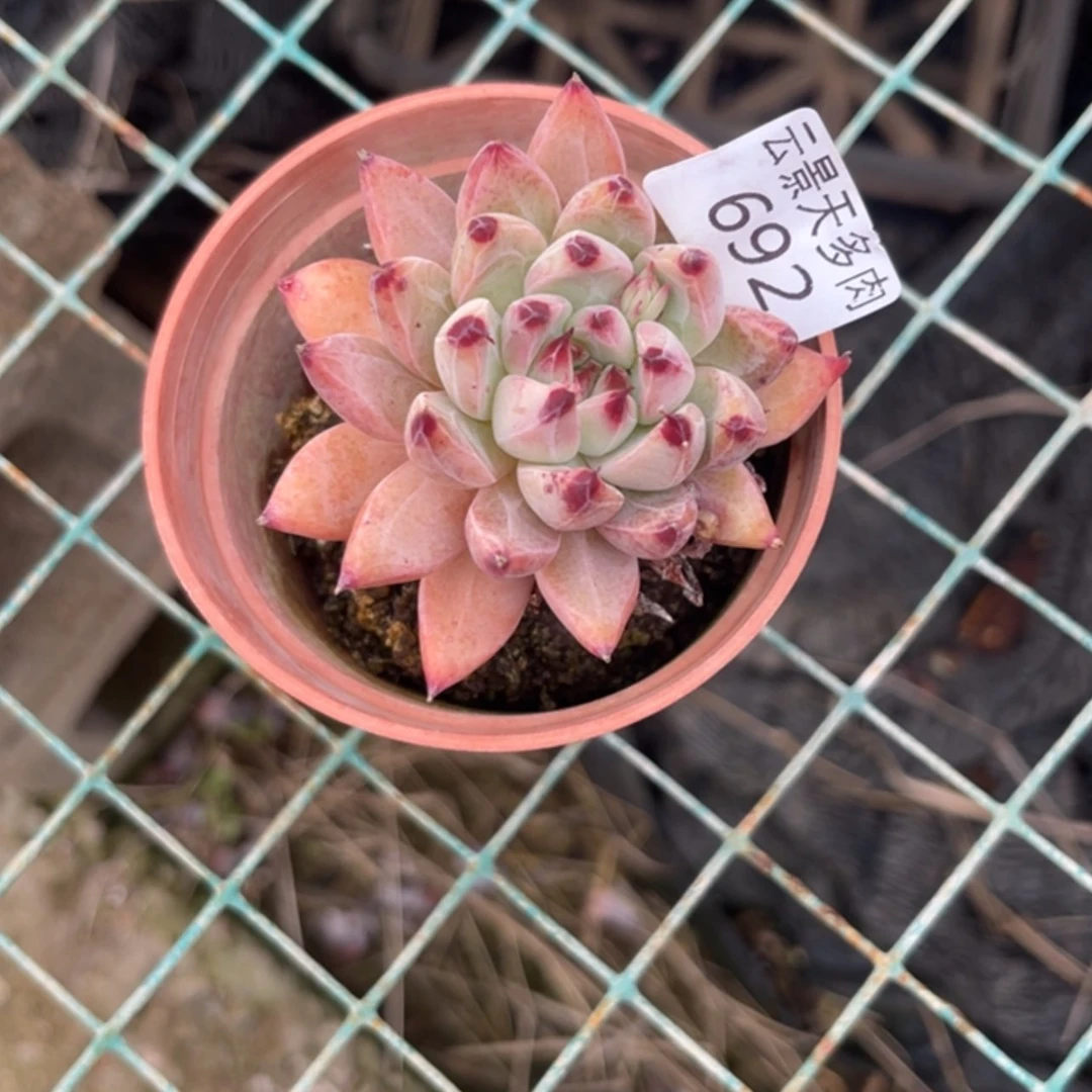 【闪购商品】时****?692。
