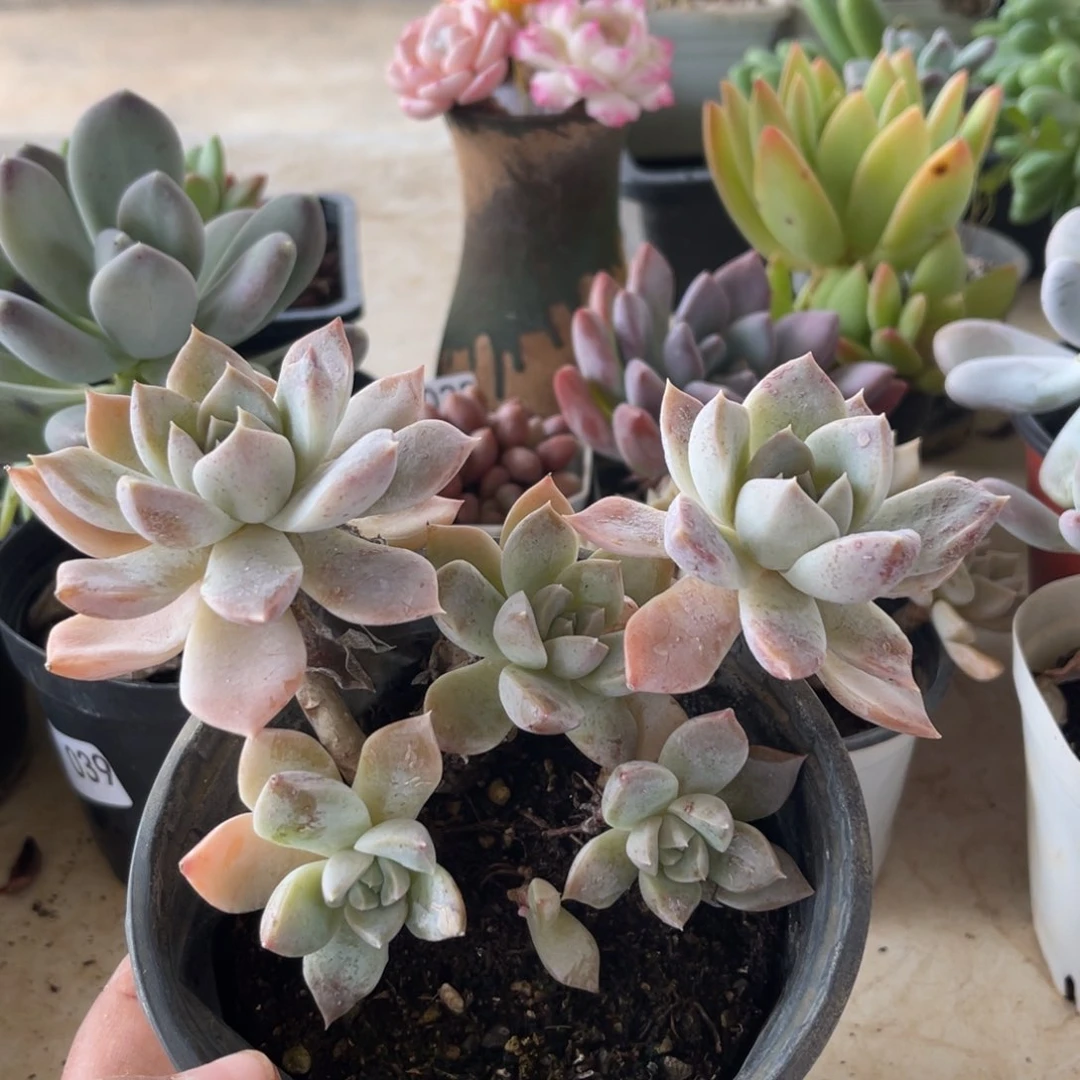 041。   11111111111