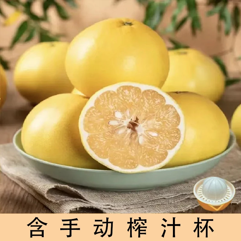 【清甜多汁】福建当季新鲜采摘水果多汁黄金葡萄柚4.5-5斤彩箱lp