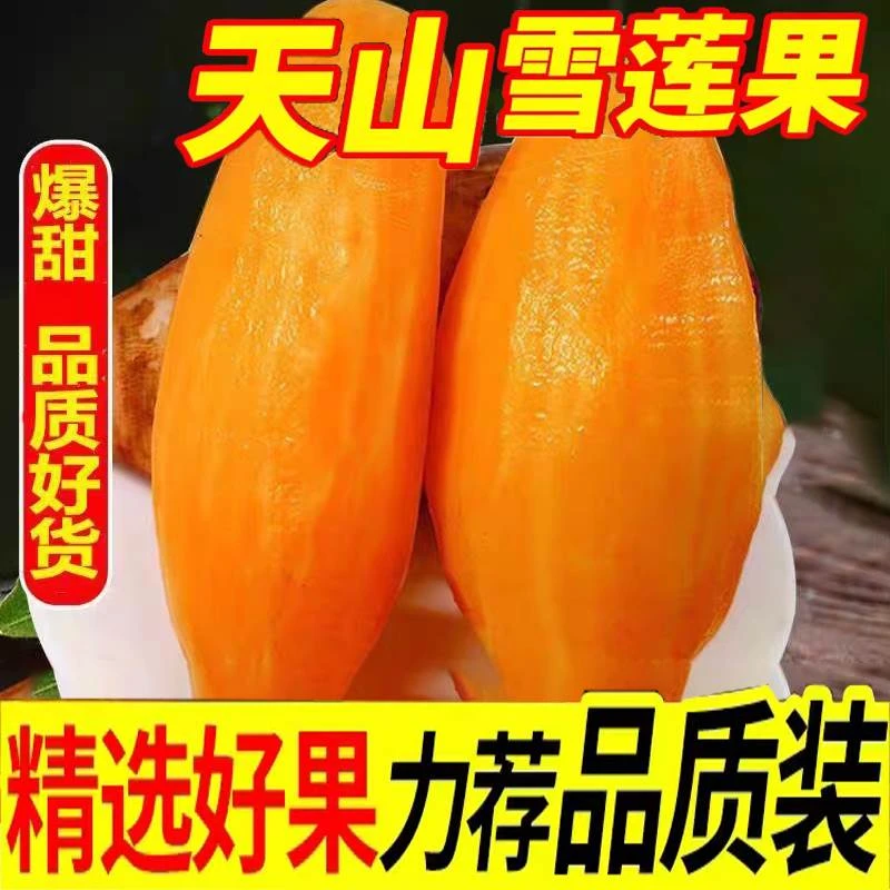 雪莲果新鲜水果当季整箱脆爽云南天山黄心红心雪莲果整箱包邮清甜