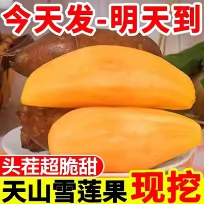 云南天山雪莲果红心新鲜特级一级水果清甜当季整箱孕妇黄雪连包邮