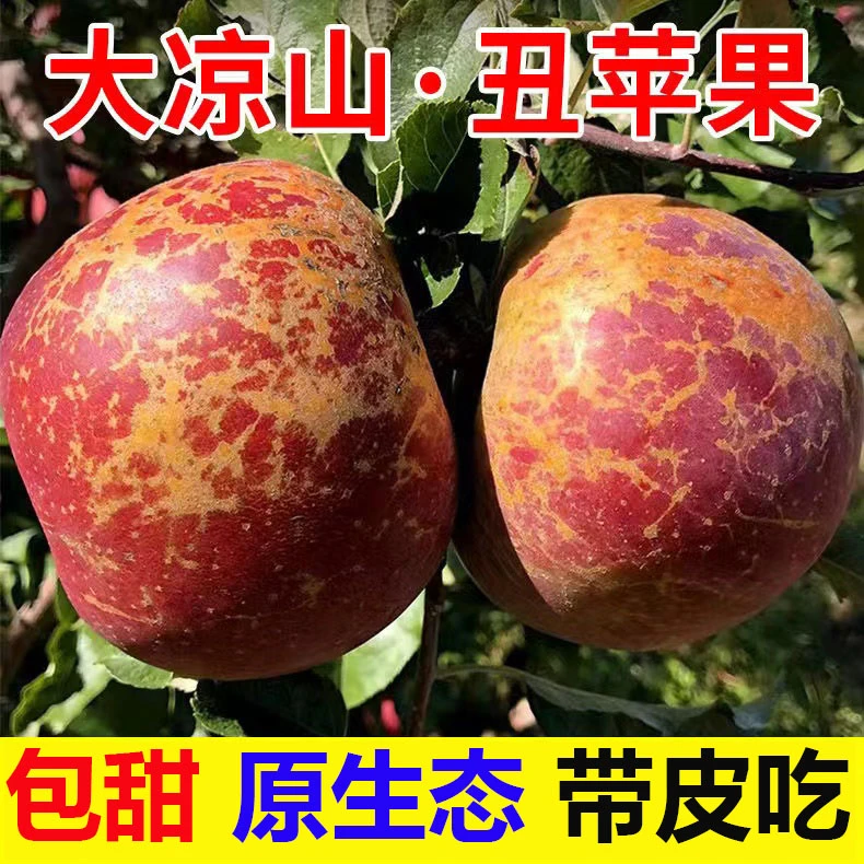 四川大凉山冰糖心丑苹果正宗盐源新鲜红富士苹果水果脆甜当季现摘