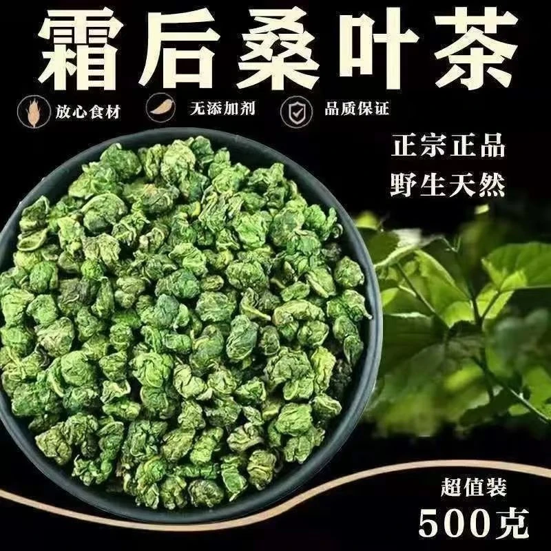 桑叶茶正宗新鲜秋后桑叶子茶清热老树天然干桑叶