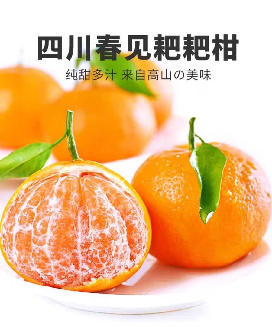 （坏果包赔）正宗四川春见耙耙柑丑橘爆甜多汁新鲜采摘5/8斤包邮