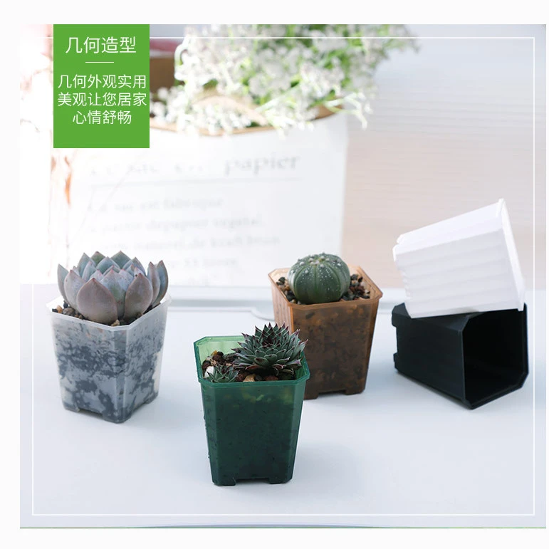 暮光盆高颜值新款小白方网红多彩半透塑料花盆创意多肉盆