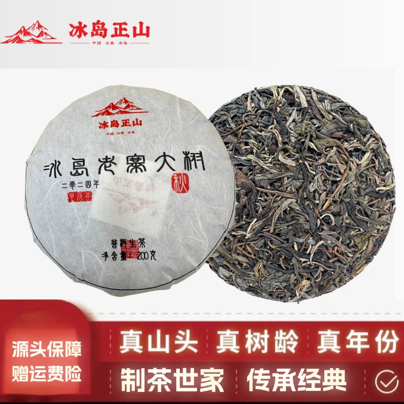 真 · 2024年-冰岛老寨大树秋茶-200克普洱生茶饼