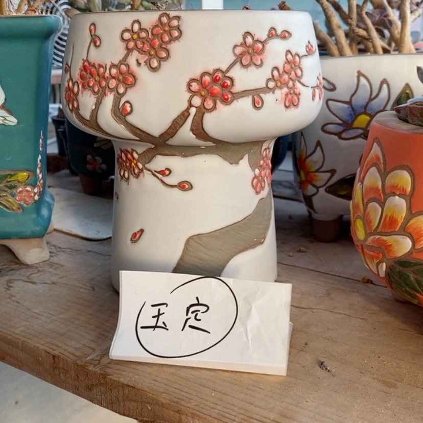 【闪购商品】红陶171cm(含)-200cm(含)