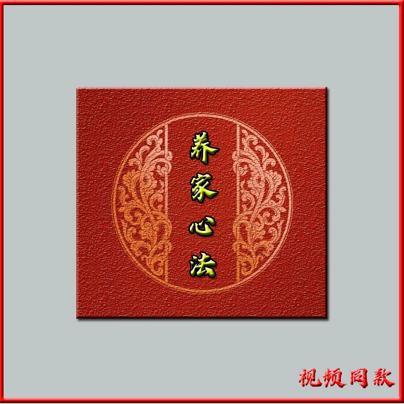 养家心法笔记本册册子