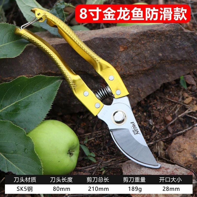 剪树枝专用剪子剪刀家用树枝修剪果树修剪刀修枝剪花艺园艺剪工具