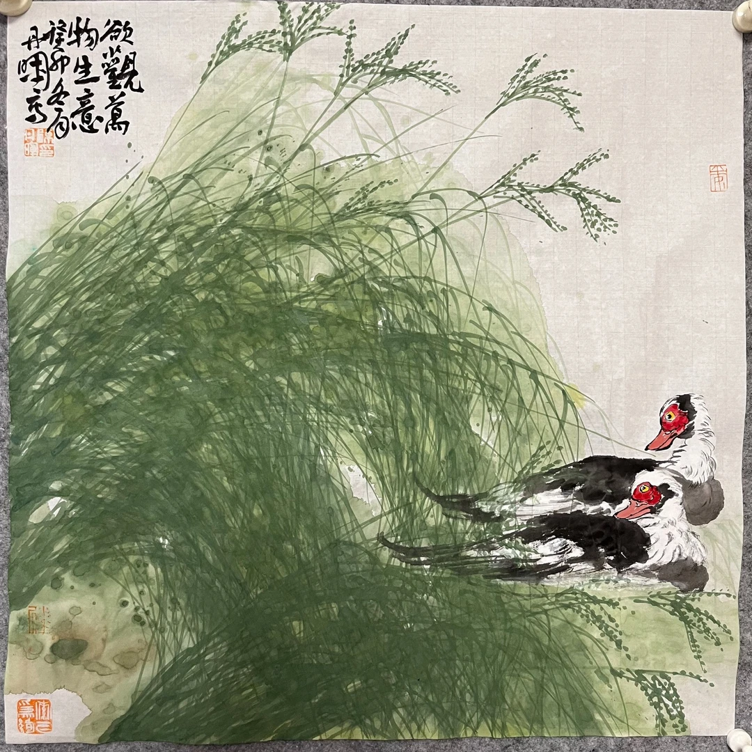 陈丹晖花鸟画 《湖草》