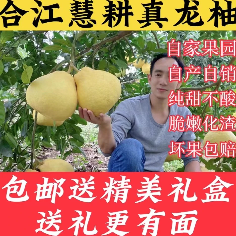 合江真龙柚 精品果 纯甜不酸 白心 礼盒装 送礼佳品 产地直销