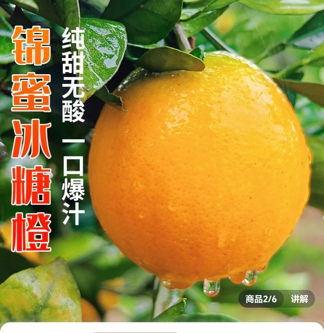正宗麻阳锦蜜冰糖橙天然现摘