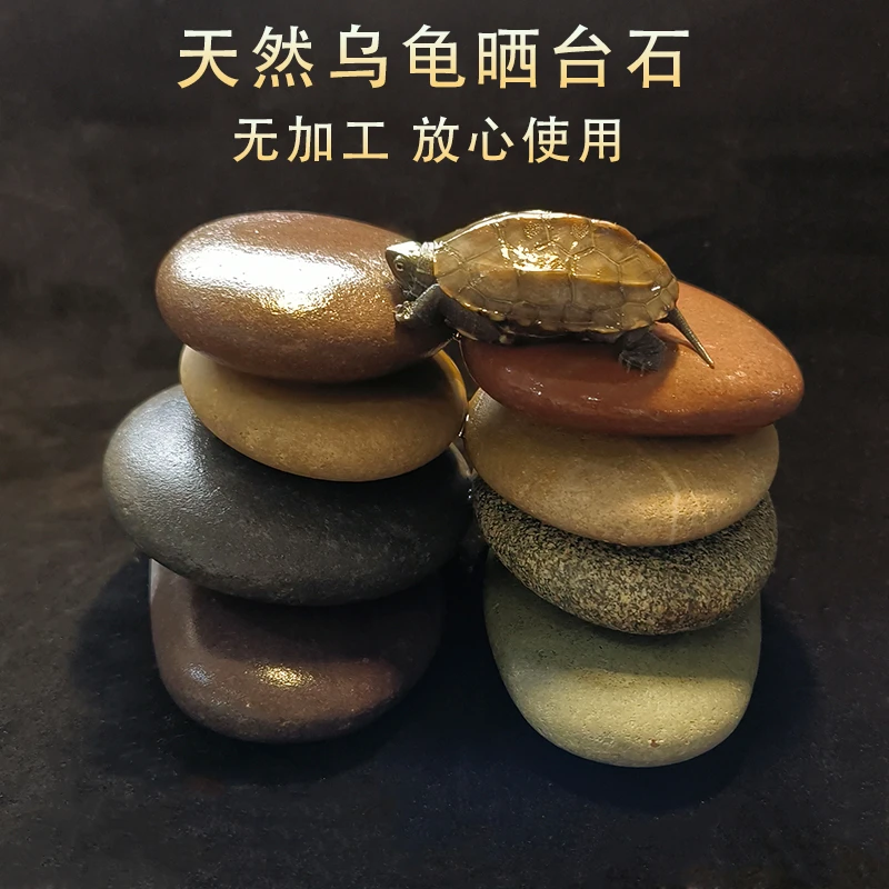 原生态乌龟晒台石头扁石爬台龟缸造景石乌龟晒背石头 椭圆 发货