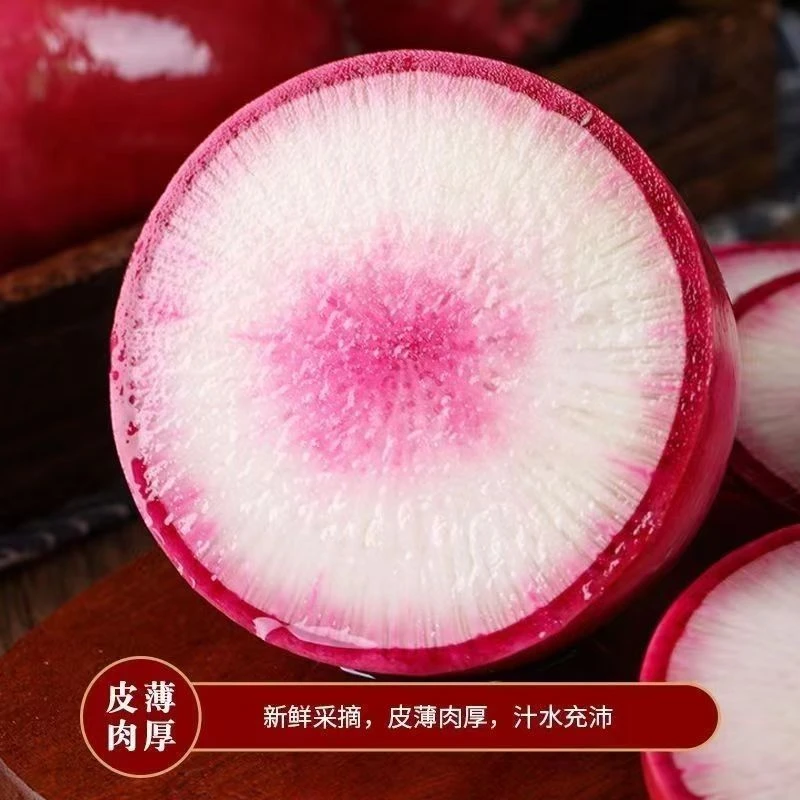 【脆甜好吃】山东奶油冰糖心水果萝卜4.5斤爽脆鲜甜生吃口感美味