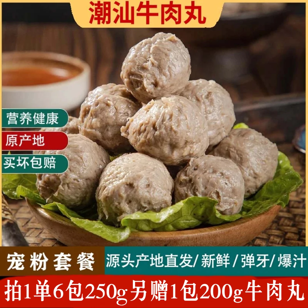 潮谦YL潮汕传统手工鲜嫩美味特色工艺牛肉丸烧烤串串铁板烧1500g