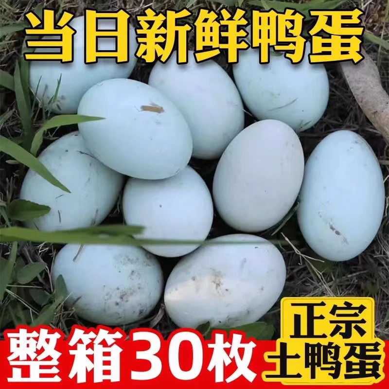 跑山生鸭蛋正宗土鸭蛋新鲜鸭蛋腌制农家散养青壳麻鸭营养蛋鸭子蛋