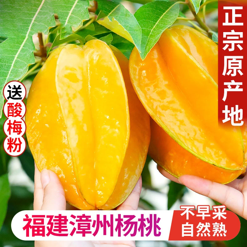 （先卖1000单）树熟杨桃清甜杨桃皮薄多汁洋桃果肉香甜成熟新鲜发货