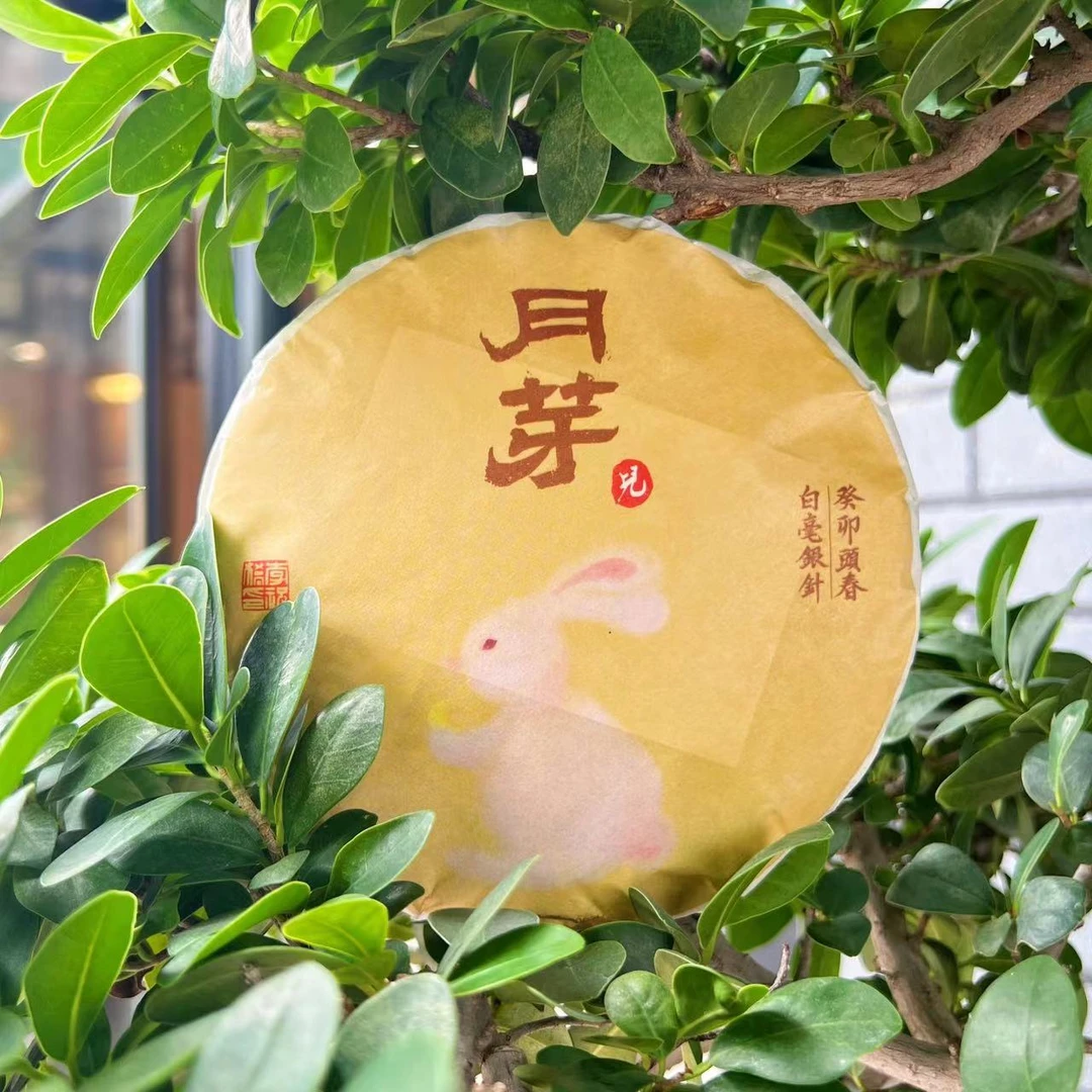 2023春茶 云南白毫银针 花蜜香 饼茶