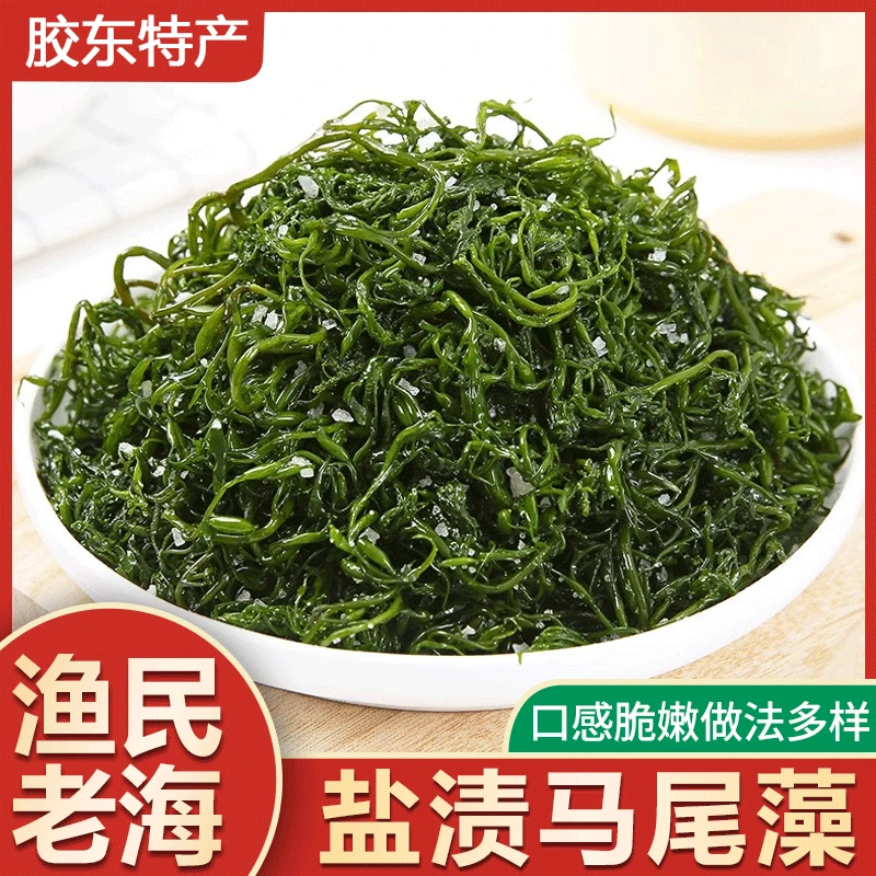 【荣成特产】盐渍马尾藻鞭炮笋丰富长寿菜凉拌菜火锅食材包包子5斤