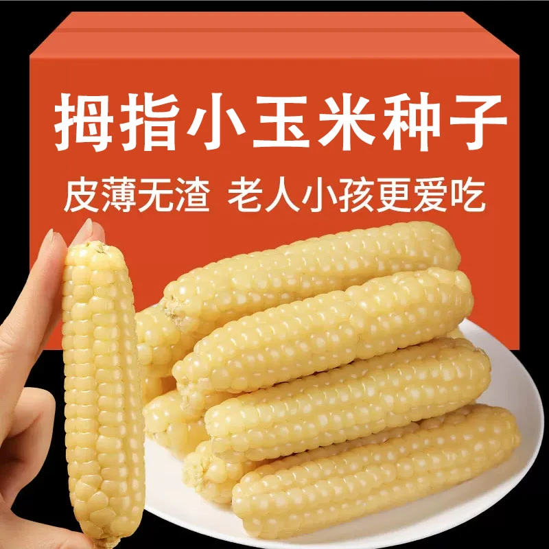 拇指玉米种子香甜奶香水果玉米手指阳台庭院种植种籽种子夏季蔬菜
