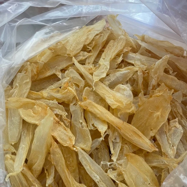 广东滋补 110头豆仁胶(鱼胶改价链）