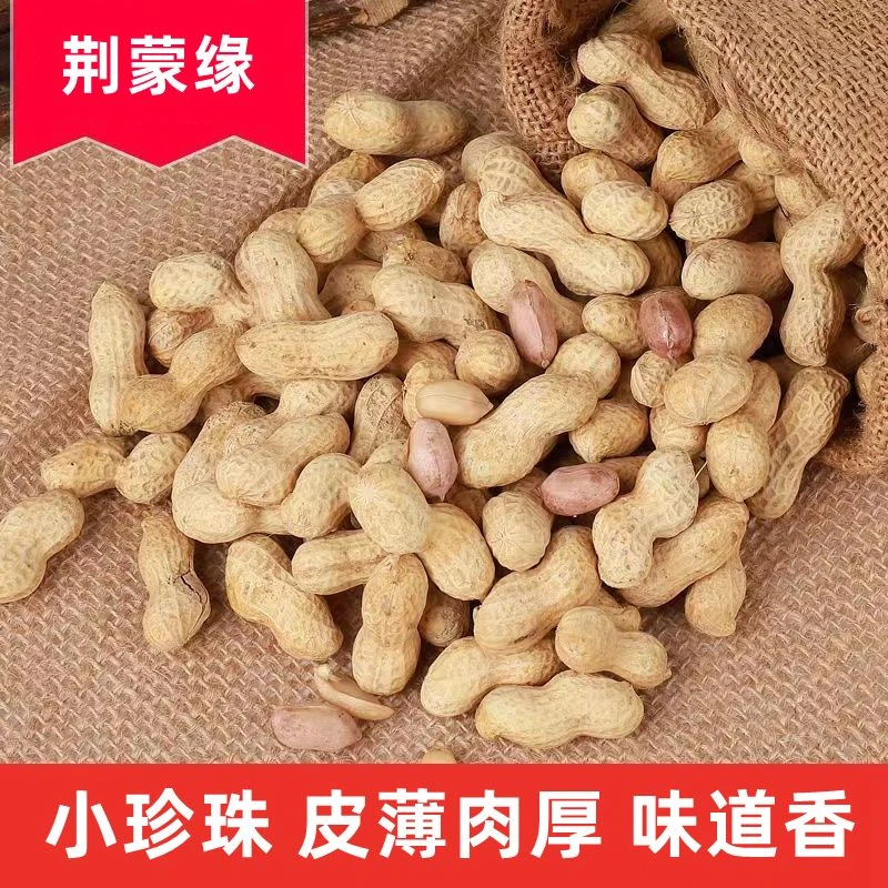 【开播福利】农家铁锅炒花生饱满带壳原味小珍珠粉皮炒熟