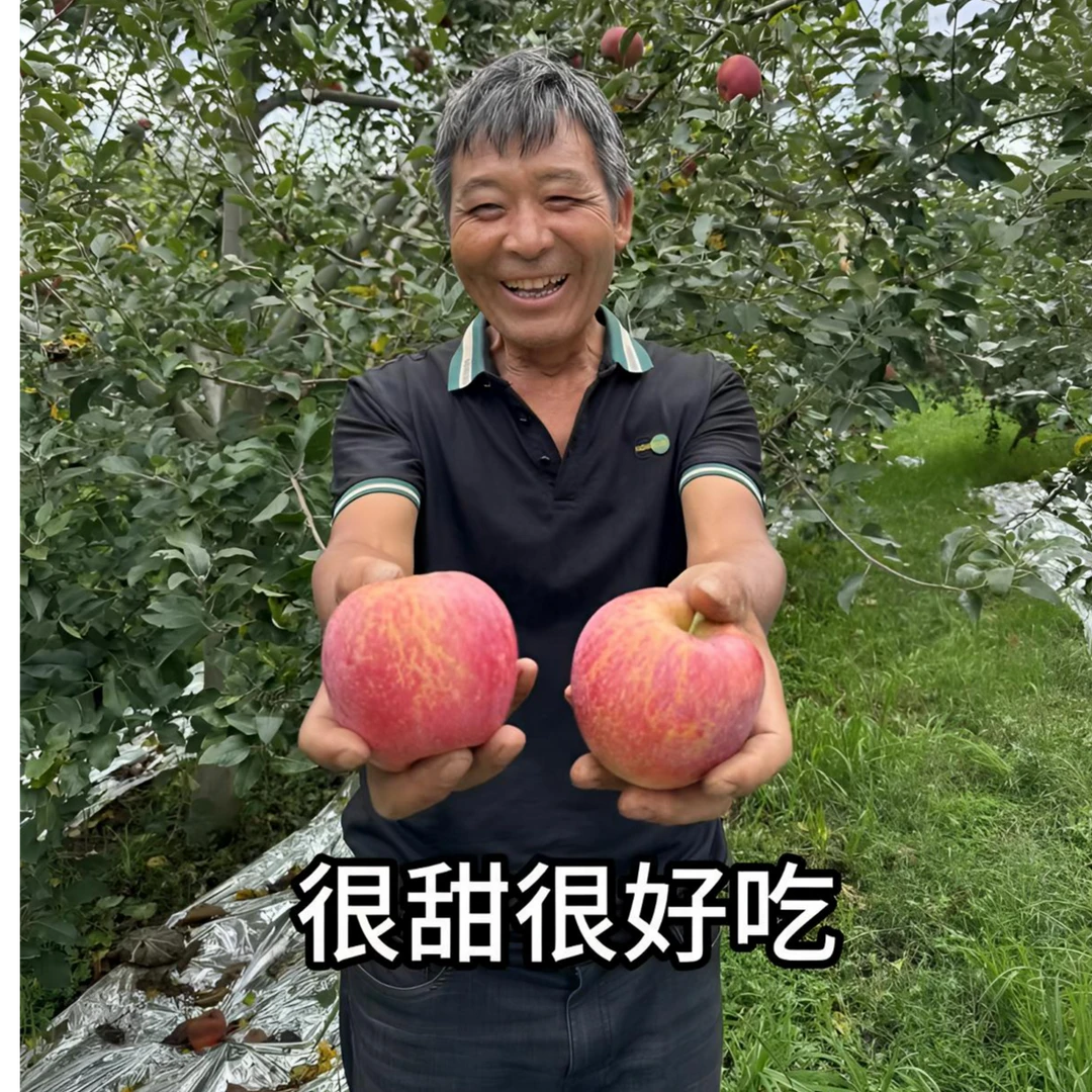 正宗云南昭通丑苹果2001新鲜自然成熟当季优选送礼脆甜5/10斤净重