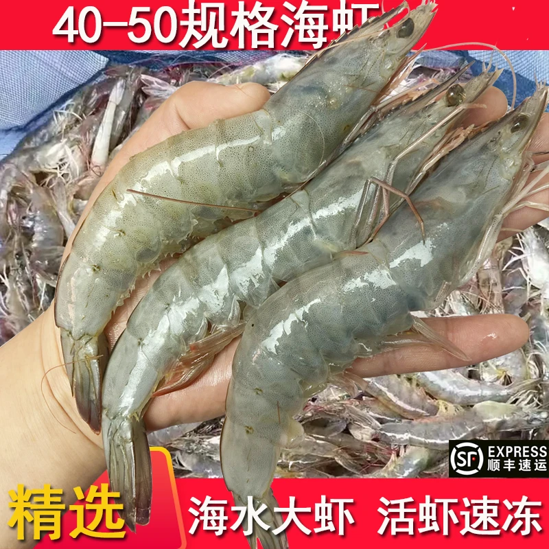 海洋大虾40/50活虾速冻盐冻对虾鲜冻海虾活冻 厄瓜多尔大虾新鲜