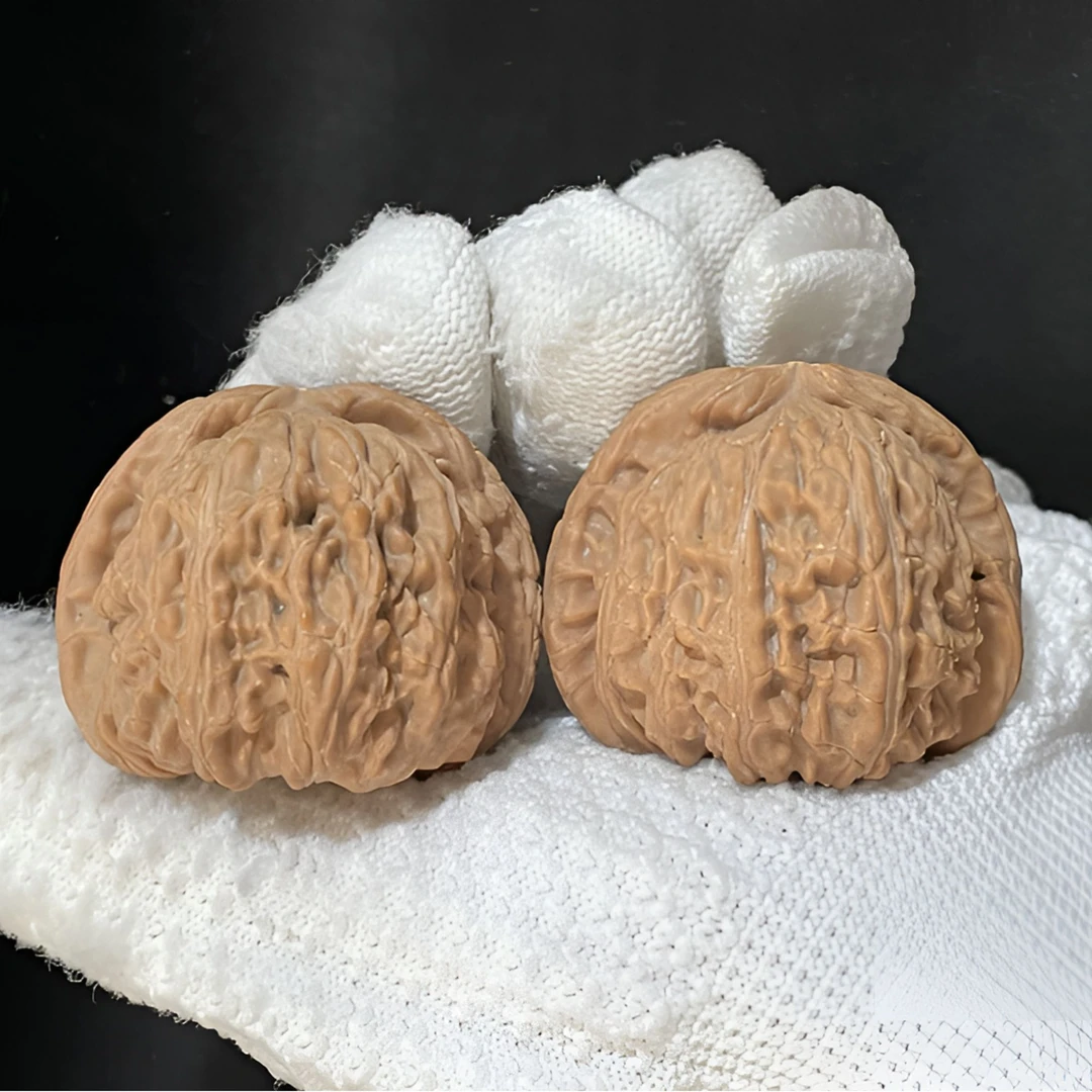 【白狮子】核桃把玩