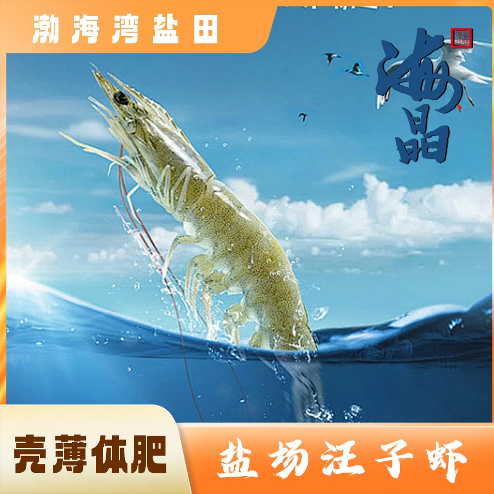 塘沽盐场盐汪子虾鲜活发出无虾线（混装大小不一）
