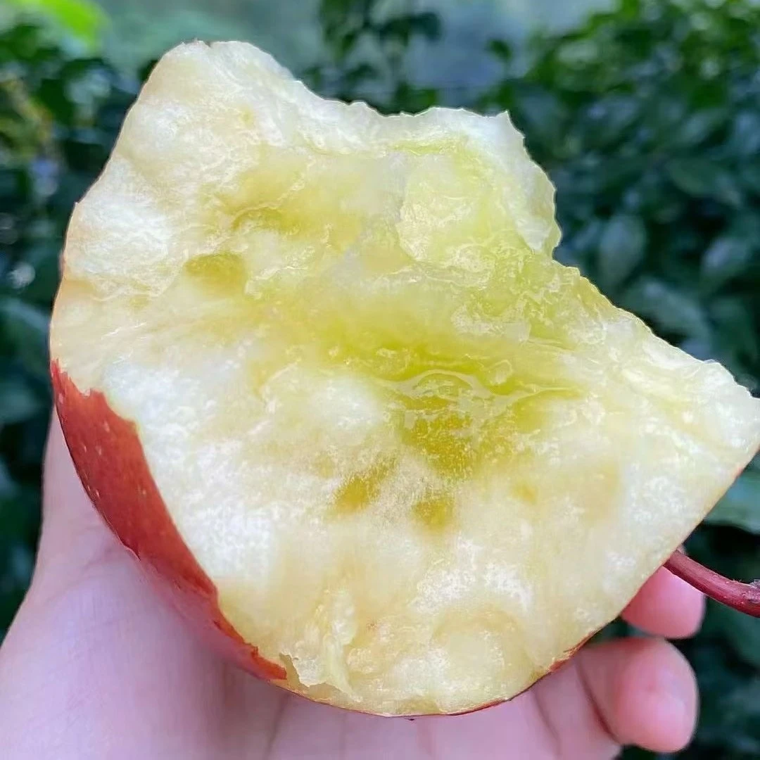 昭通原生态丑苹果糖心苹果孕妇放心苹果中果大果10市斤