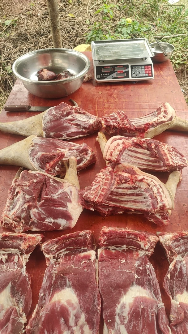 羊杂 【直播间现称改价】分割后不退四川农村散养的黑山羊鲜羊肉