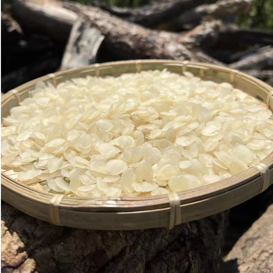 【单荚皂角米】小花现收山货单荚皂角米