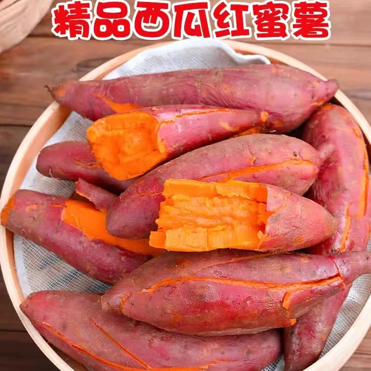 【西瓜红蜜薯】沙地种植西瓜红蜜薯地瓜番薯烤红薯蒸烤两吃软糯香甜